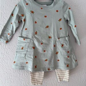 Hanna Andersson Oranges Dress and Striped Leggings Set